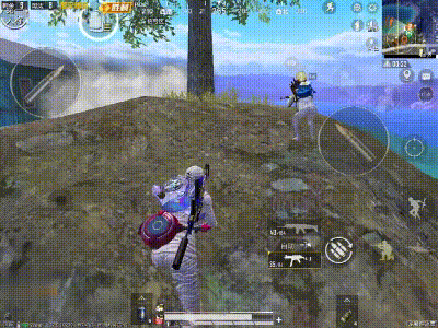 apex外挂网站