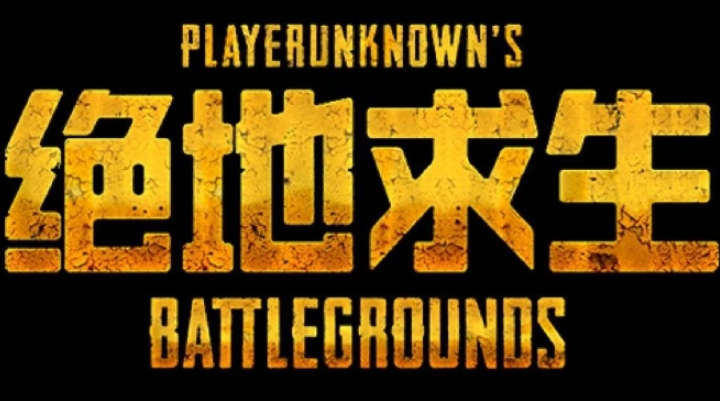 steam中的绝地求生（仅一个游戏）共G
