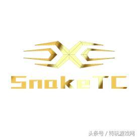 中国绝地求生战队TOP20，有理有据令人信服！