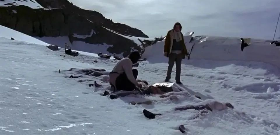 绝境求生：白头山与极限逃生的惊险之旅