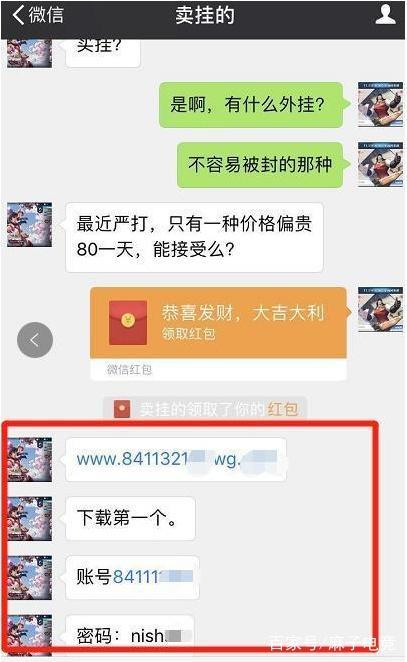 王者荣耀那些你没有见过的外挂，一天只要80元