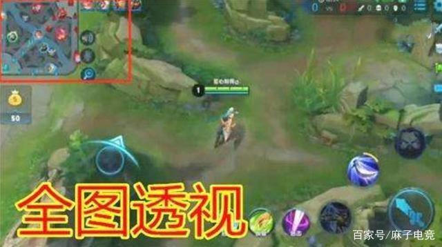 王者荣耀那些你没有见过的外挂，一天只要80元