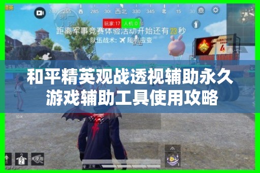 使用和平精英观战透视辅助永久的使用方法解析
