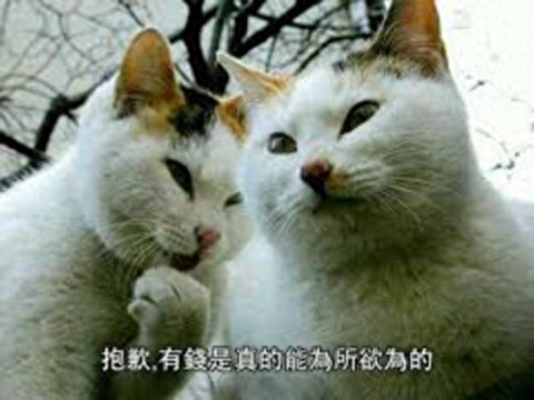 《APEX英雄》评测：一堆骚操作让小弟眼花缭乱