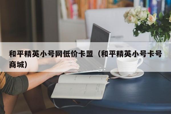 和平精英小号网低价卡盟以及和平小号卡号商城对应知识点
