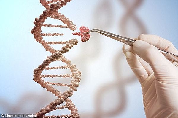 NASA前科学家通过DNA注射帮助人类在基因层面改造自己