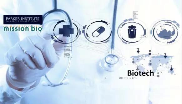 张璐：硅谷投资界的“新天鹅”，是如何构成的？