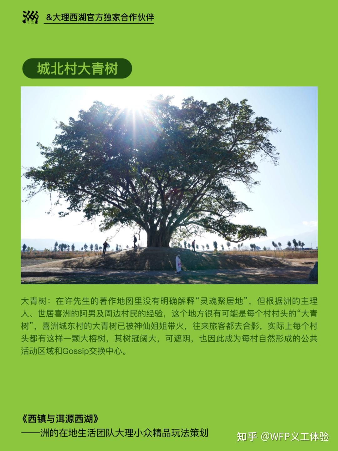 dnf卡盟 DNF卡盟：社交狂欢，攻略大礼包，客服贴心服务