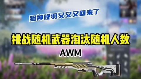 深度游戏爱好者探寻和平精英辅助发卡网的真相