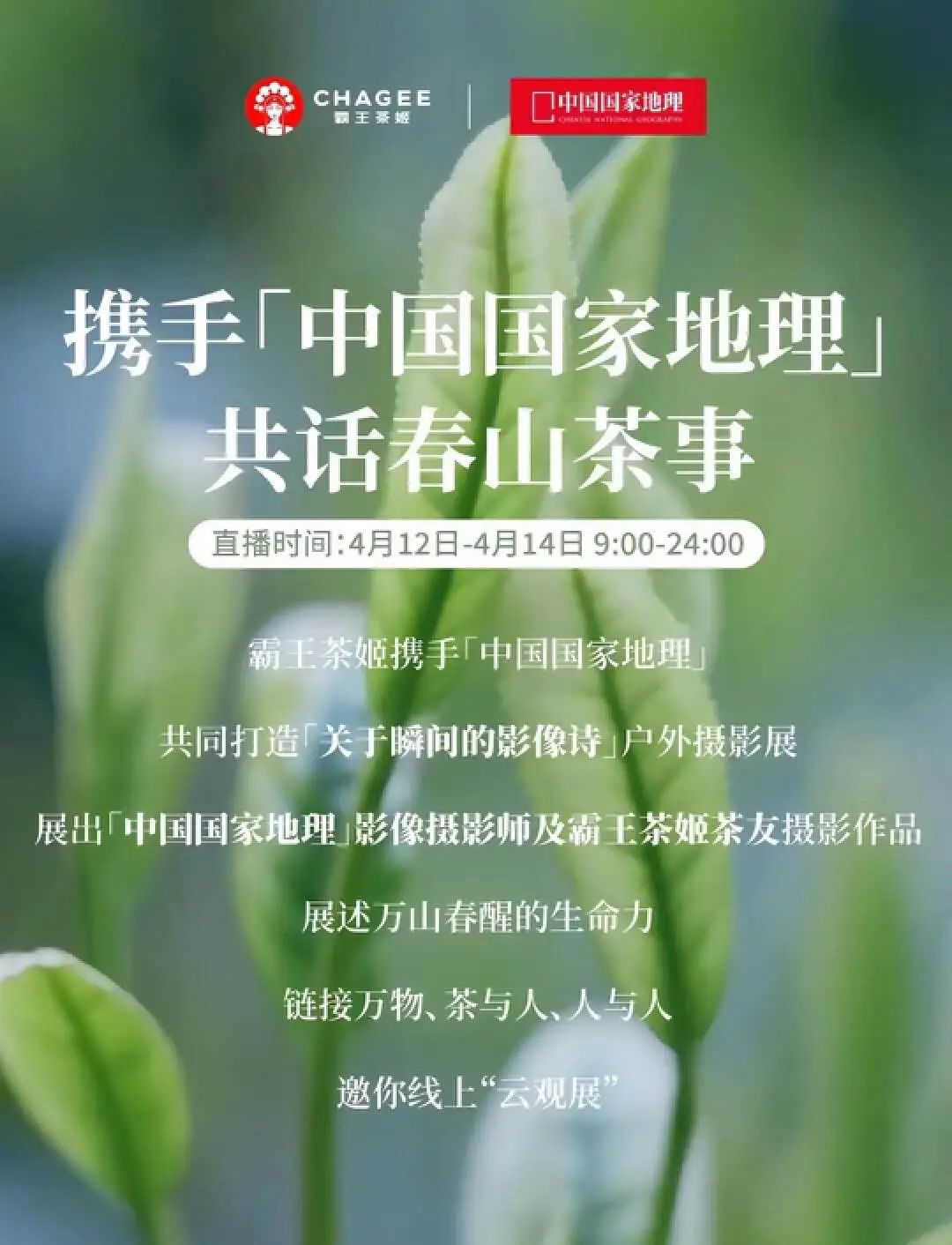 CHAGEE 霸王茶姬一周涨粉超 33 万，它是怎么做到的？