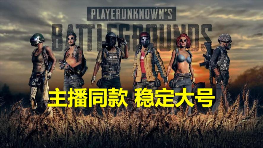 揭秘绝地求生卡盟黑号：你的账号安全吗？一场游戏，一场隐私的生死较量