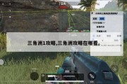 三角洲1攻略,三角洲攻略在哪看。