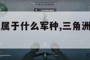 三角洲部队属于什么军种,三角洲部队是陆军吗。