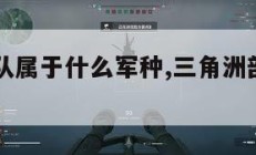 三角洲部队属于什么军种,三角洲部队是陆军吗。