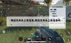 明日方舟头上有龙角,明日方舟头上有龙角吗。