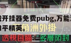 万能游戏开挂器免费pubg,万能游戏开挂器免费和平精英。