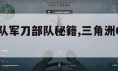 三角洲部队军刀部队秘籍,三角洲6军刀部队秘籍。