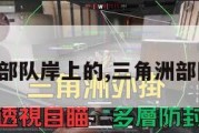 三角洲部队岸上的,三角洲部队全集。