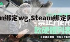 steam绑定wg,Steam绑定网易大神。