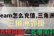 三角洲steam怎么充值,三角洲怎么联网。