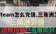 三角洲steam怎么充值,三角洲怎么联网。