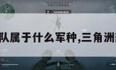 三角洲部队属于什么军种,三角洲部队全称。