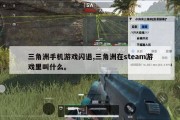 三角洲手机游戏闪退,三角洲在steam游戏里叫什么。